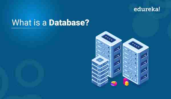 What is a Database? Know the Definition, Types & Components